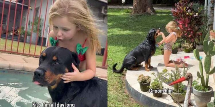 Dog Lets Little Girl Call the Shots Without a Single Complaint for the Sweetest Reason