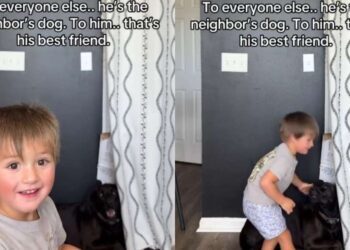Toddler’s Bond With Neighbor’s Dog Is So Much More Than What the World Sees