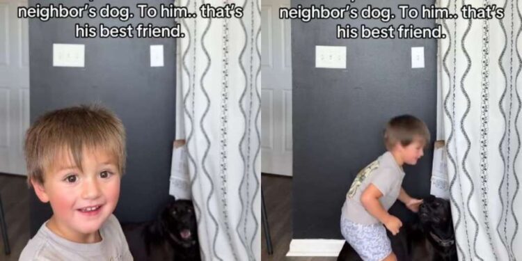 Toddler’s Bond With Neighbor’s Dog Is So Much More Than What the World Sees