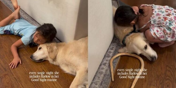 Little Girl’s Nighttime Routine With Golden Retriever Includes One Super Sweet Gesture
