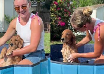 Golden Retriever Has Already Mastered the Art of Relaxing During Bath Time
