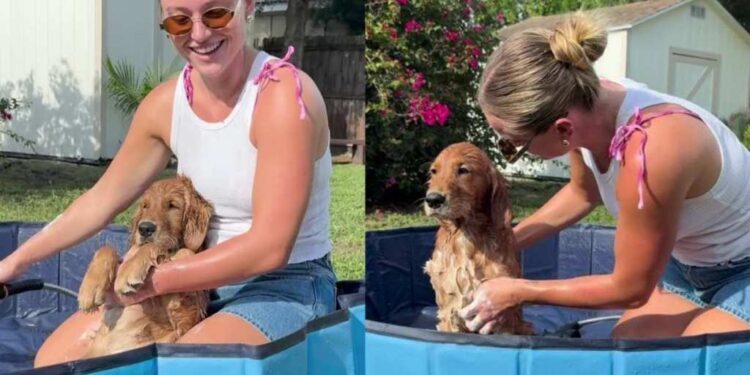 Golden Retriever Has Already Mastered the Art of Relaxing During Bath Time