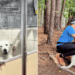 Overlooked Shelter Dog Sees a Glimmer of Hope in the Most Unexpected Way