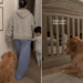 Golden Retriever Refuses to Clock Out From Toddler Duty Until Mom Makes a Promise