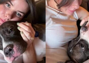 Shelter Dog Has Known Foster Mom for One Week but Loves Her Like It’s Been a Lifetime