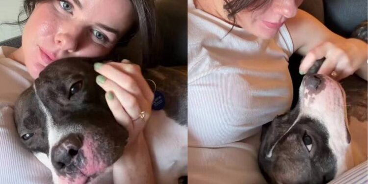 Shelter Dog Has Known Foster Mom for One Week but Loves Her Like It’s Been a Lifetime