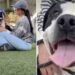 Surrendered Shelter Dog Briefly Finds Happiness, Unaware That His Clock Is Ticking