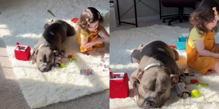 Mom Finds Dog & Toddler Being Suspiciously Quiet, Only to Chance Upon the Most Adorable Moment