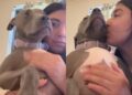 Rescue Dog Everyone Thinks Is ‘Dangerous’ Melts Into Human’s Arms, Scared of a Lawnmower