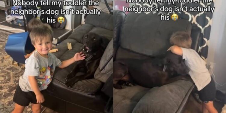 Toddler Finds a Best Friend in Neighbor’s Dog, Showering Him With Cuddles & Sweet Kisses