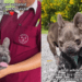 Abandoned Dog Arrives Terrified and Injured, Then Gets the Happiest Forever-Home Update
