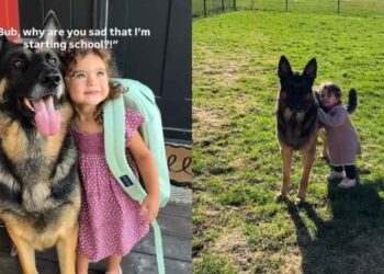 Big Dog Watches Little Girl Grow up & Start School, but It’s Heartbreaking for Her for a Reason
