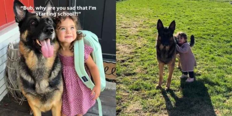 Big Dog Watches Little Girl Grow up & Start School, but It’s Heartbreaking for Her for a Reason