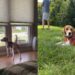 Rescue Beagle Teaches Foster Family an Unforgettable Lesson in Trust