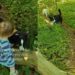 Internet Can’t Get Enough of Dog’s Reaction When Her Tiny Human Drops the Leash