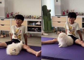 Dog Shares a Stretching Mat With Kid Who’d Rather Have Less Space Than Disturb Him