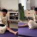 Dog Shares a Stretching Mat With Kid Who’d Rather Have Less Space Than Disturb Him