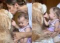 Golden Retriever Gets the Sweetest Love From Tiny Human & Mom’s Heart Is Full
