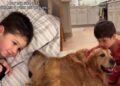 This Little Boy Is Learning That Golden Retriever Puppies Are a Different Breed of Chaos