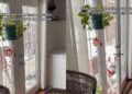 Puppy Learns How to Open a Door by Herself & It’s Almost Too Clever