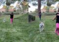 Little Girl Runs With Her ‘Soul Dog’ & Gives Mom a Moment to Treasure