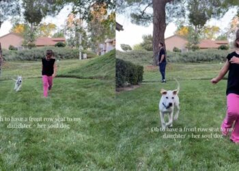 Little Girl Runs With Her ‘Soul Dog’ & Gives Mom a Moment to Treasure