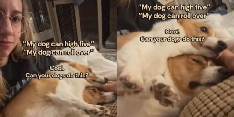 Dog’s Definition of a Good Cuddle Is Stacking Herself Directly on Top of Her Son