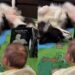Dog Becomes More Interesting Than Baby’s Book Without Even Trying
